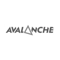 Avalanche ski wear